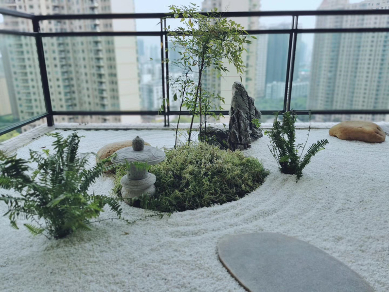 �ݶ���԰���